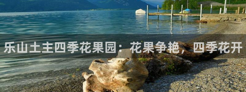 金年会体育