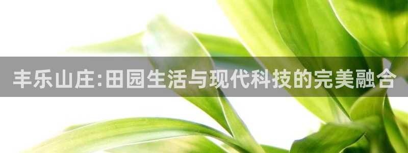 金帆年会2019