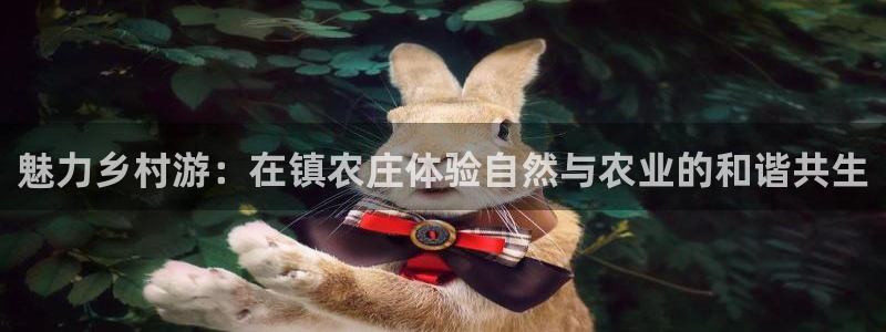 2022年金科年会
