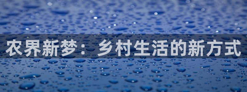 金金年会