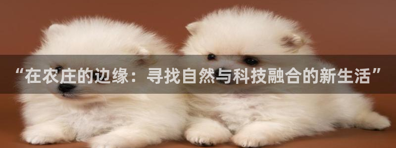 金年会彩票网址下载