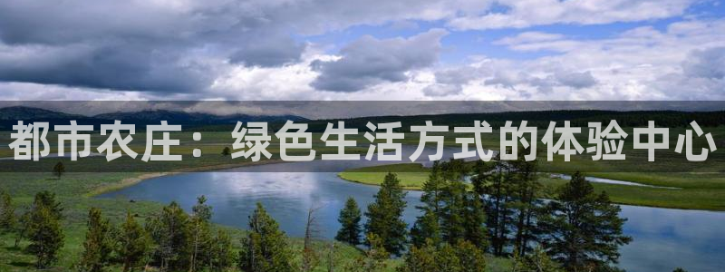 年会金
