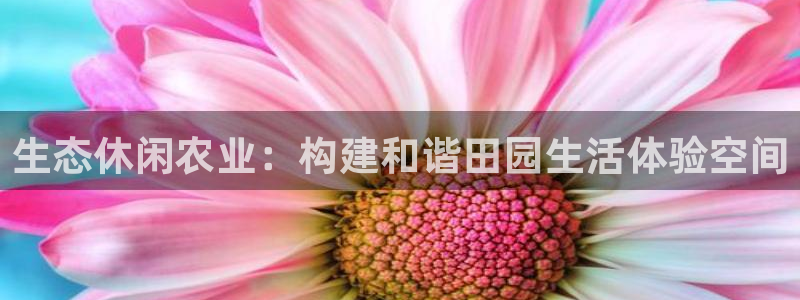 金年会体育官方下载