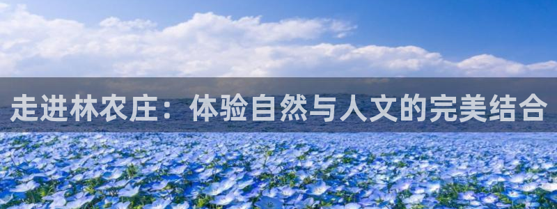 金年会登录入口