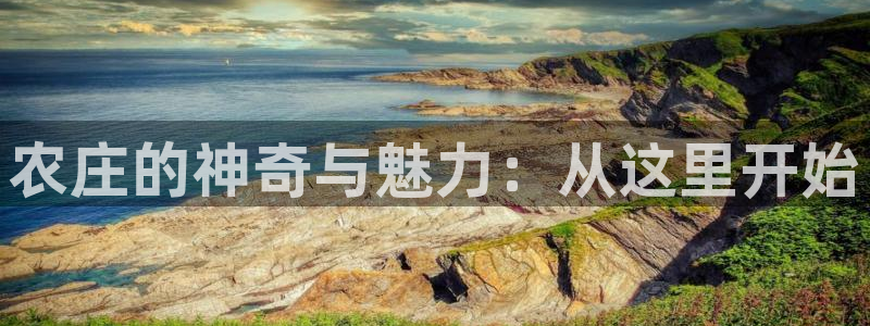 金年会是正规平台吗