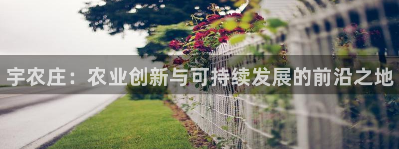 金年会今年会