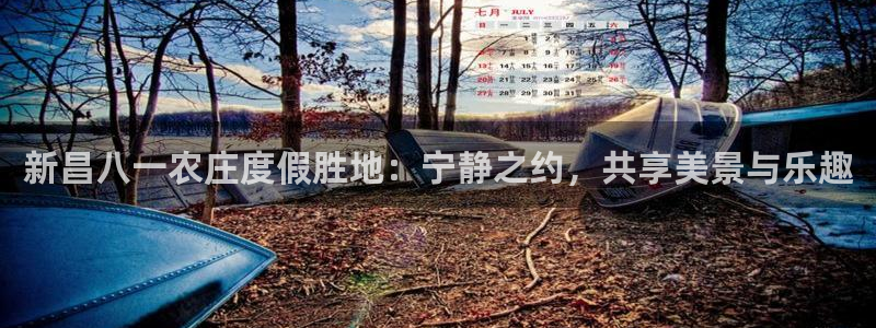 金年会APP安装下载