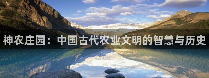 金年会取款