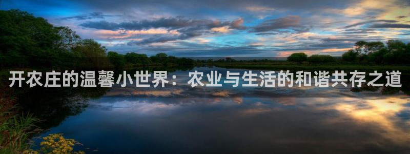 年会金句心得