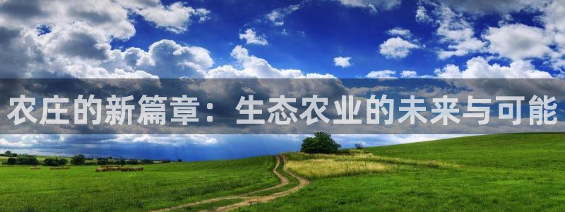 金立年会