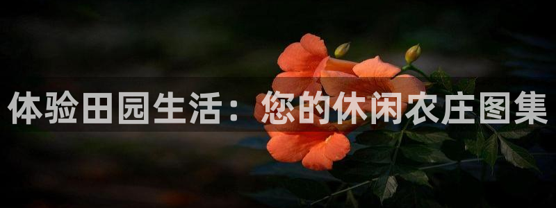 金年会嗨聊app下载