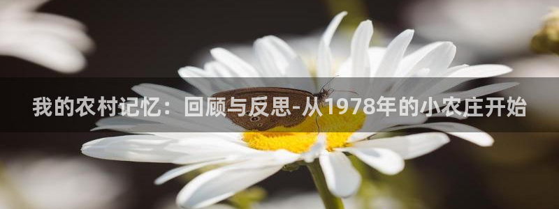 金年会官网
