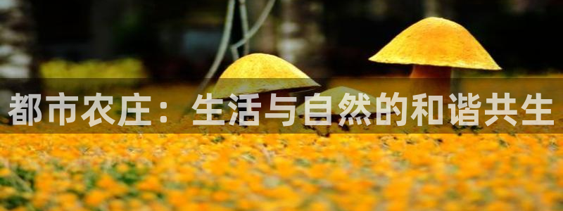 金年会投注官网