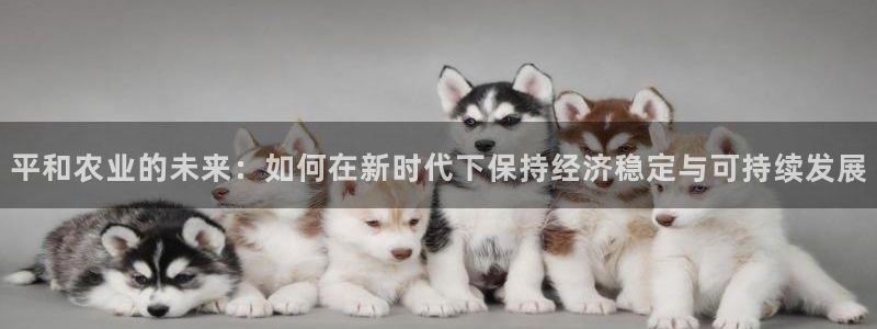 金年会体育平台官网