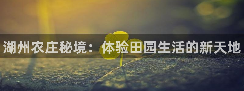 金年会官网app