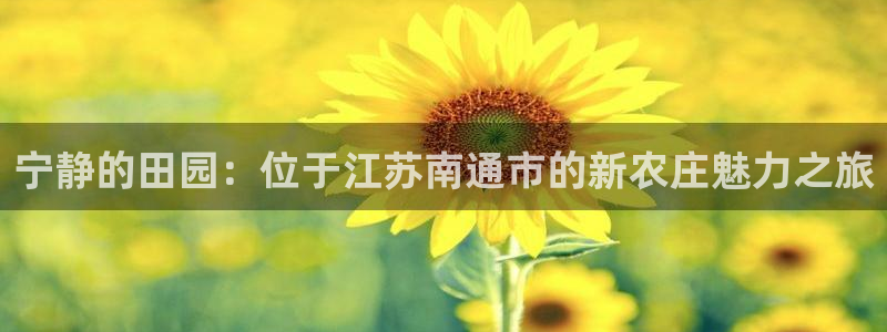 金年会代理