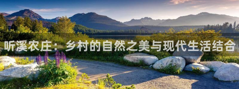 金金年会