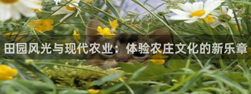 金年会平台登陆