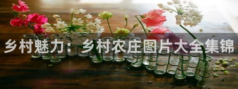 金年会体育娱乐
