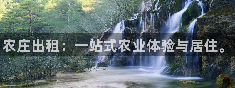 金年会app下载官网