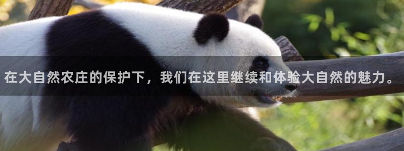 金年会全站app
