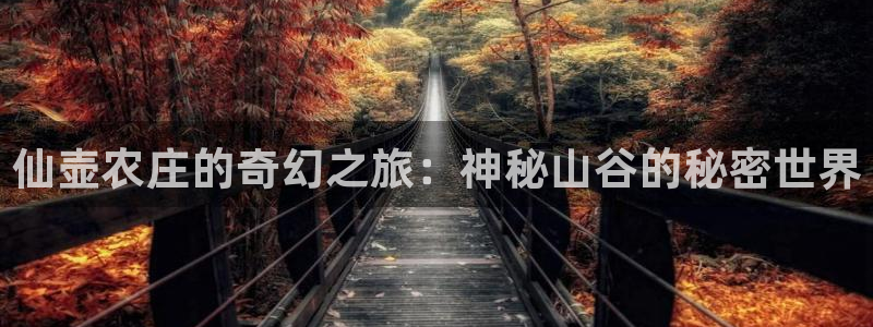 金年会6766澳门联合