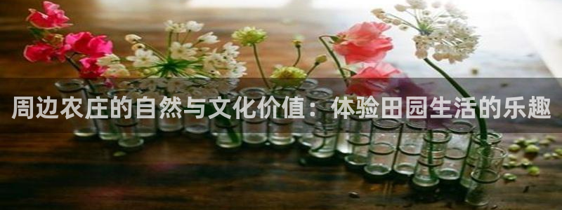 金年会游戏官网