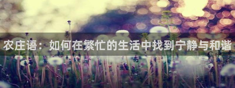 金年会平台包赔