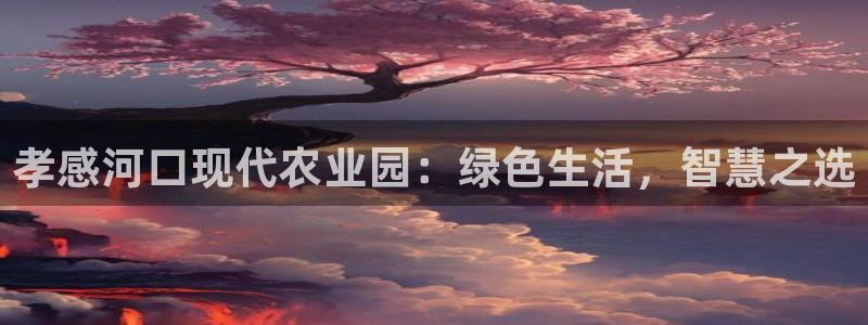 金年会是啥