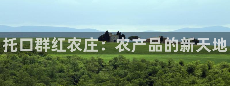 金年会提款慢
