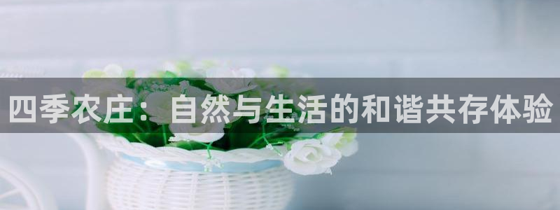 金年会娱乐app