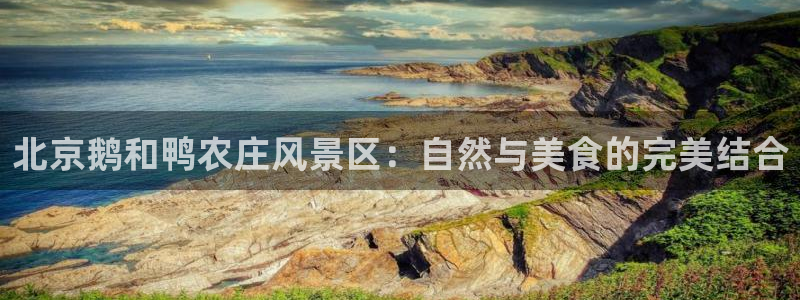 金年会官网登入