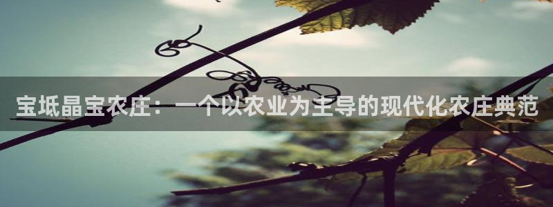 金年会VIP