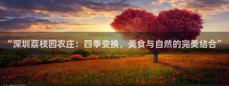 金年会官方网址登录路线