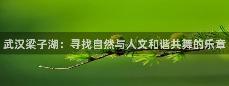 金年会体育娱乐