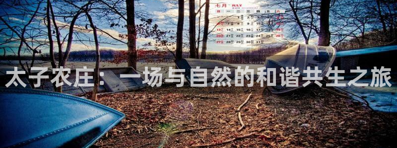 金顶年会