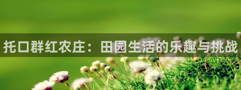 金年会吧