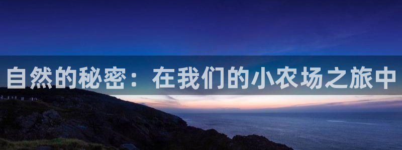 体育金年会