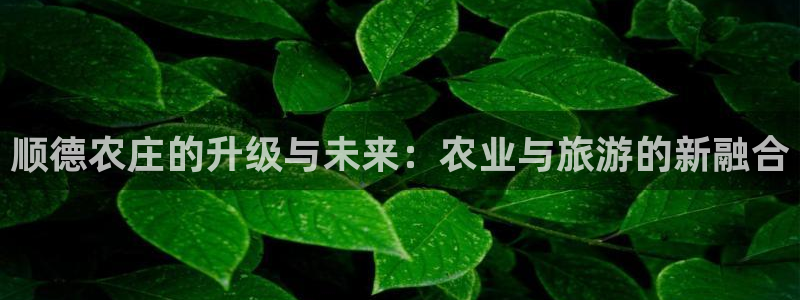 金年会在线入口