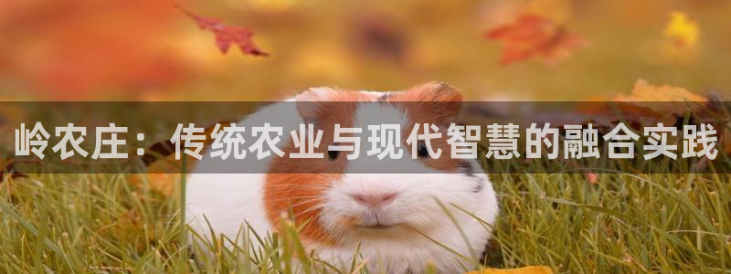 世纪金源年会