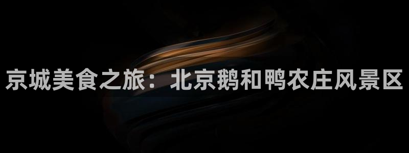 金雅陶瓷年会现场