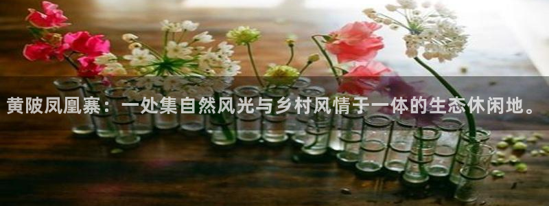 金年会赞助商