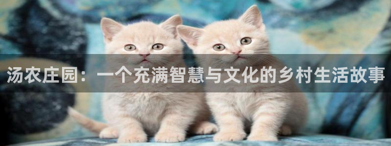 金年会体育app下载