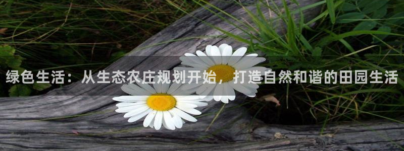 金年会品牌