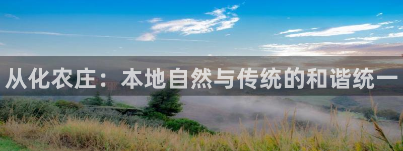 金金年会
