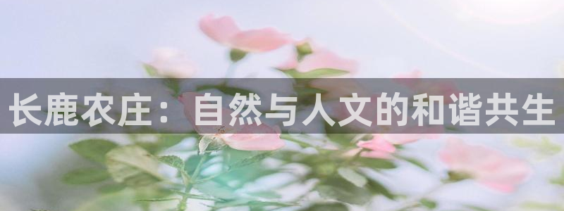 金年会平台登陆