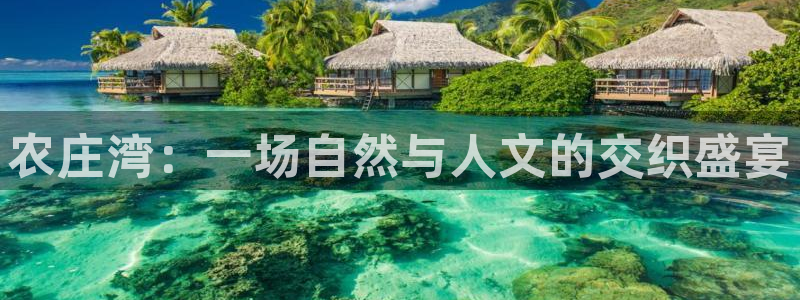 金年会体育苹果下载