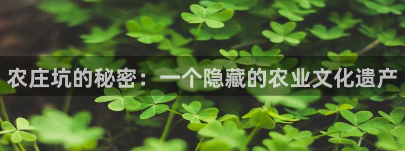 金年会娱乐下载