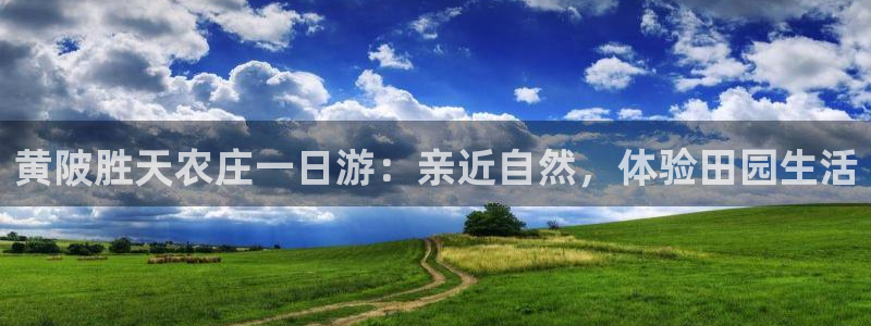 金金年会