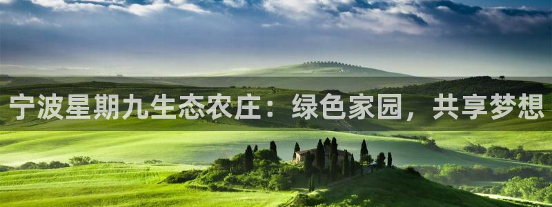 金年会是正规平台吗